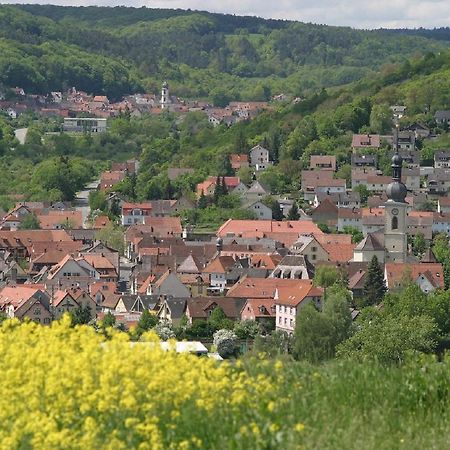 Ferienwohnung Haas Lauda Konigshofen Bagian luar foto