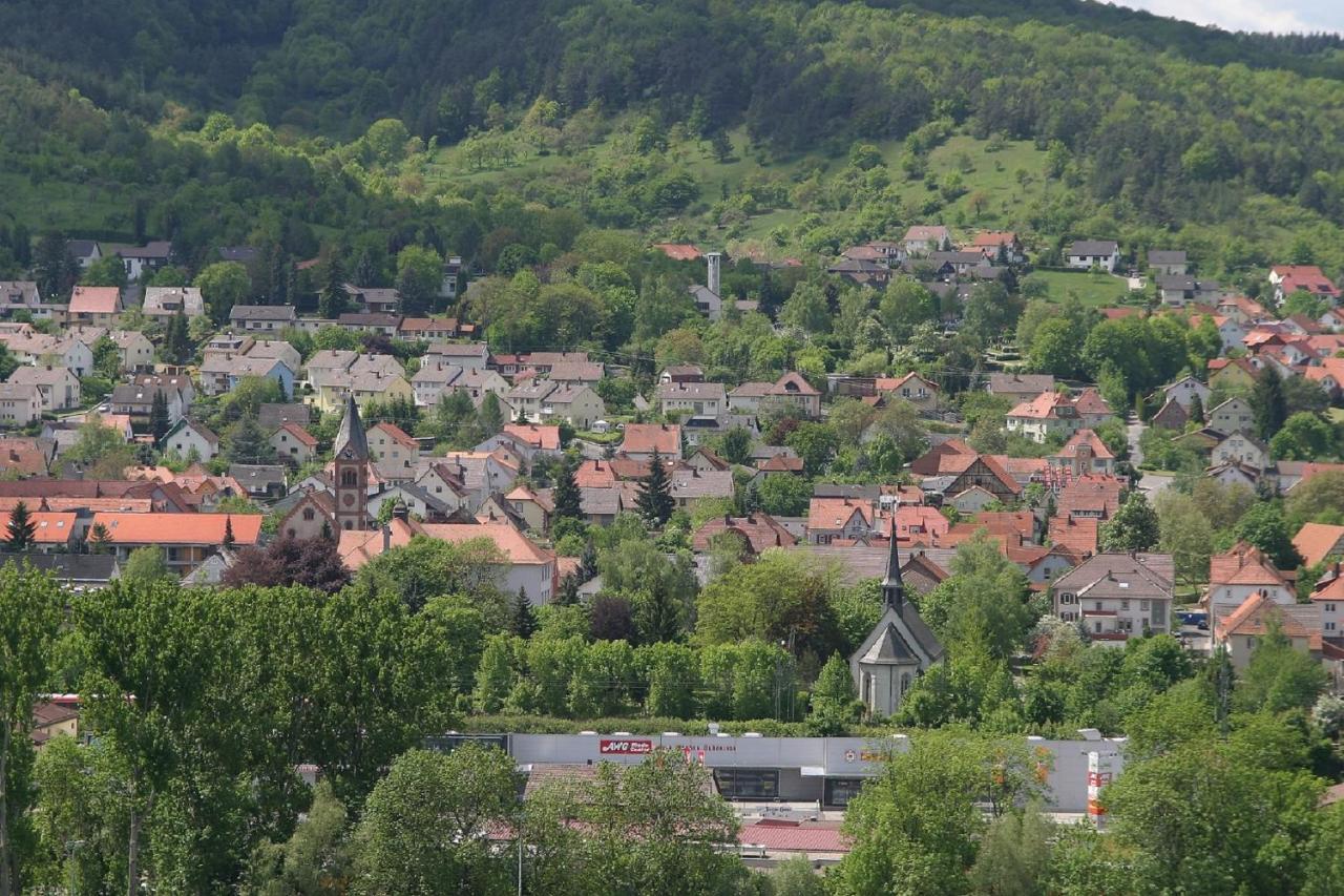 Ferienwohnung Haas Lauda Konigshofen Bagian luar foto